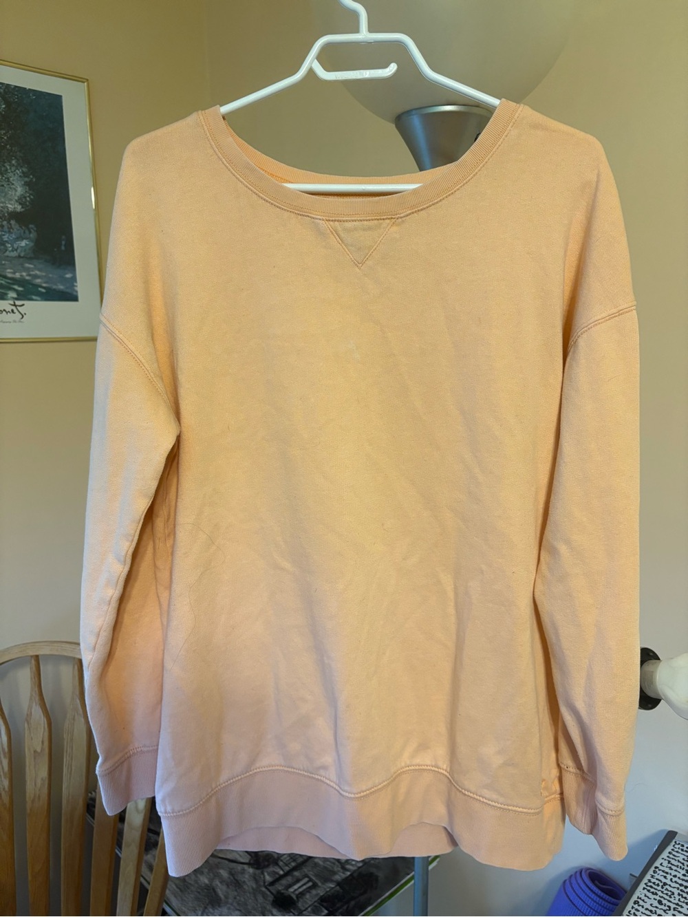 Women's American Eagle Peach Crewneck Sweatshirt - Casual Pullover